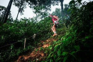 BIB: 
                            <button type="button" onclick="openModal(26201398)" class="btn btn-primary btn-sm float-right btn-popup" data-toggle="modal" data-target=".modal-high-quality">
                        <i class="fas fa-shopping-cart"></i> Add to Cart
                    </button>
                                            <button type="button" onclick="isThisMe(26201398, true)" class="btn btn-success btn-sm float-right btn-popup btn-isme hidden" data-toggle="tooltip" data-placement="bottom" title="นี่คือรูปของคุณใช่ไหม คลิกที่นี่เพื่อเอาเข้าอัลบั้ม">
                        <i class="fas fa-plus"></i> Add to album
                    </button>
                    <button type="button" onclick="isThisMe(26201398, false)" class="btn btn-warning btn-sm float-right btn-popup btn-isnotme hidden">
                        <i class="fas fa-ban"></i> Remove from album
                    </button>